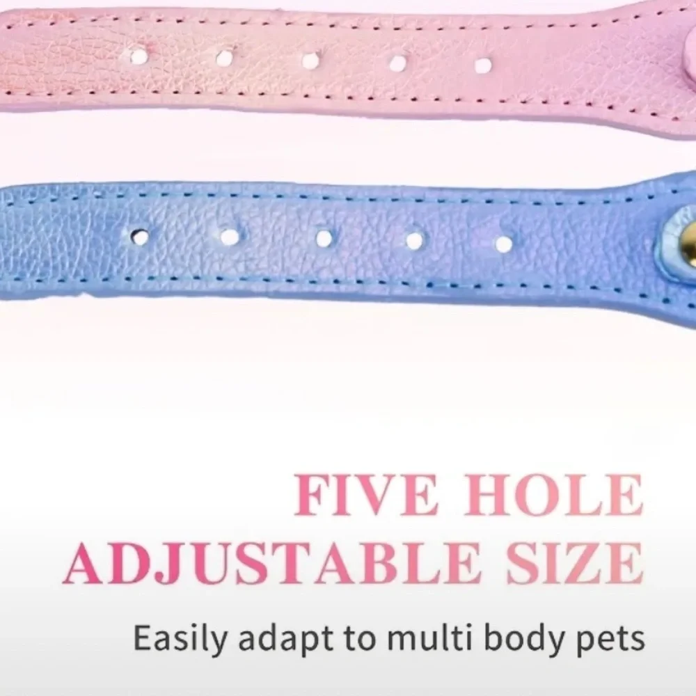 Blue Heart Charm Pet Collar
